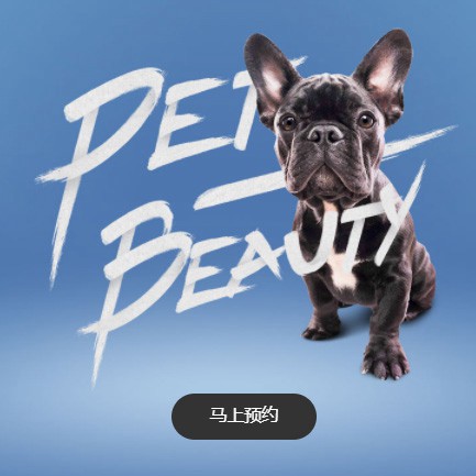 萨嘎宠物中心小程序开发